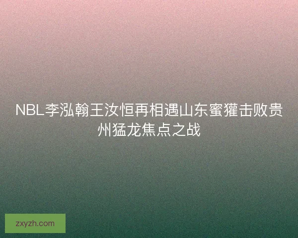 NBL李泓翰王汝恒再相遇山东蜜獾击败贵州猛龙焦点之战