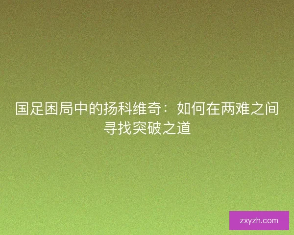国足困局中的扬科维奇:如何在两难之间寻找突破之道 国足困局中的扬科维奇:如何在两难之间寻找突破之道
